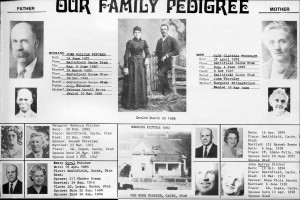 John William Pitcher Family Group Record